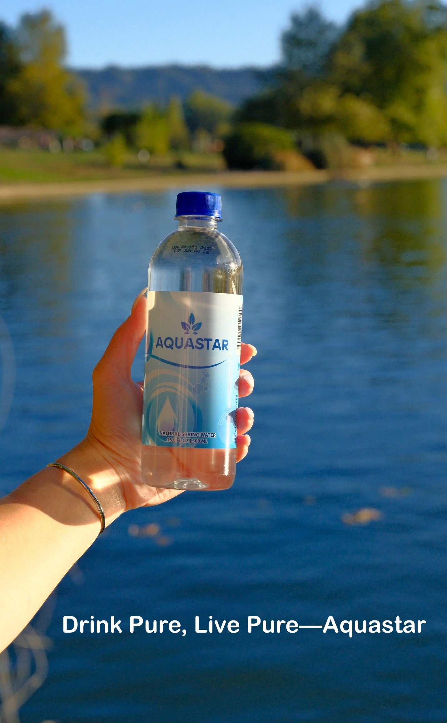 Aquastar Natural Spring Water Plastic Bottle 16.9 FL OZ 12 Pack